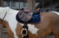 czaprak skokowy kentucky neon leather granatowy