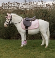 kentucky czaprak unicorn old rose