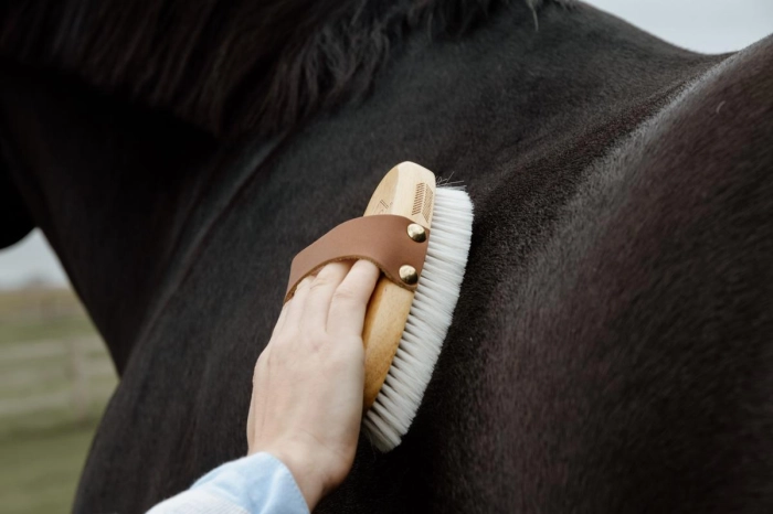 grooming deluxe kentucky miekka szczotka