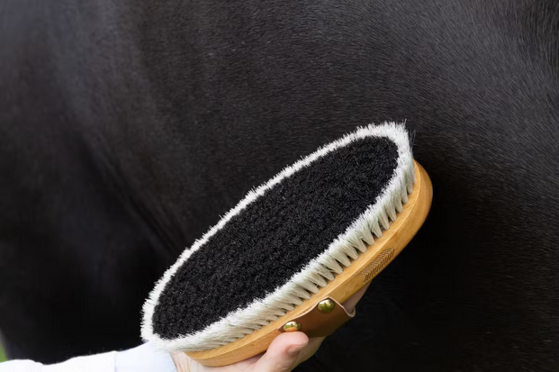 grooming deluxe overall brush body shine