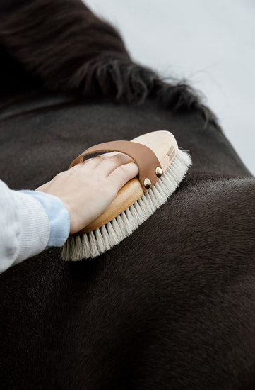 kentucky grooming deluxe szczotka body shine