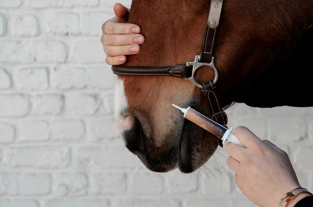 grooming deluxe pasta witaminowa