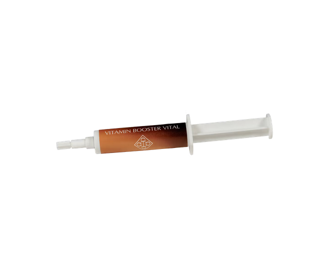 Kentucky GD pasta witaminowa Vitamin Booster Vital 12 ml