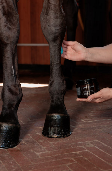 kentucky żel chłodząco rozgrzewający grooming deluxe