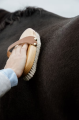 grooming deluxe szczotka overall