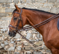 Screenshot 2025-07-24 at 13-20-35 Full Leather Draw Reins 1_2 Dy'on premiumleather.png