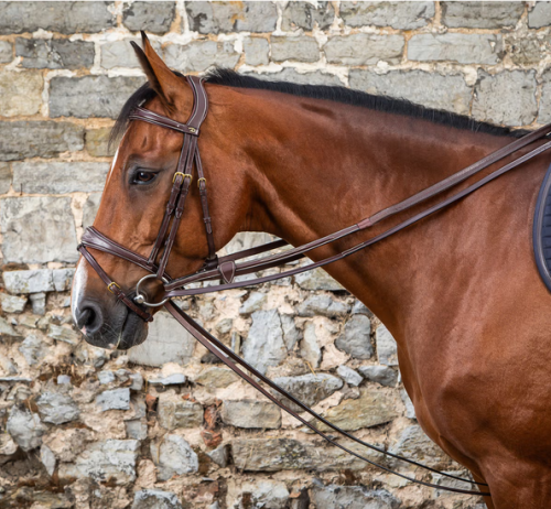 Screenshot 2025-07-24 at 13-20-35 Full Leather Draw Reins 1_2 Dy'on premiumleather.png