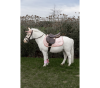 czaprak kentucky różowy unicorn glitter sammy pony