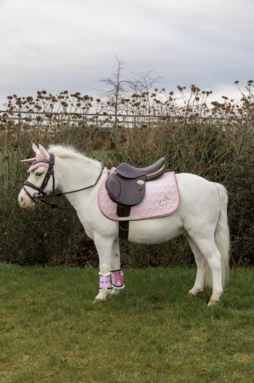 Sammy czaprak glitter pony
