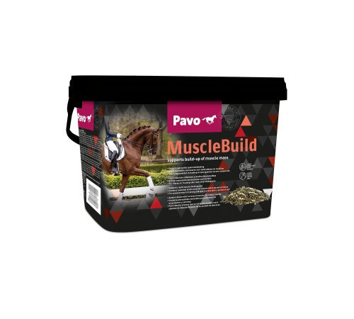 pavo-musclebuild.jpg