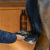 grooming deluxe kentucky szampon guma balonowa gloss shampoo bubble gum