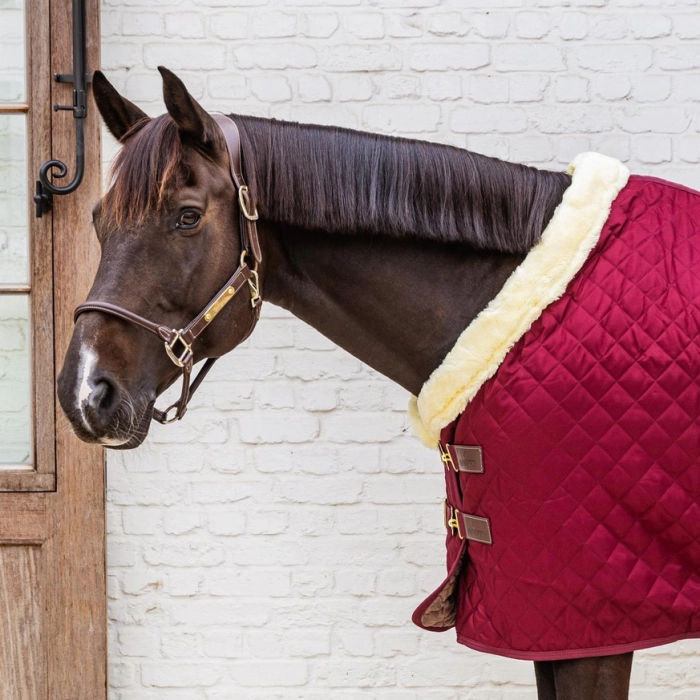 kentucky derka stajenna show rug 160g bordowa