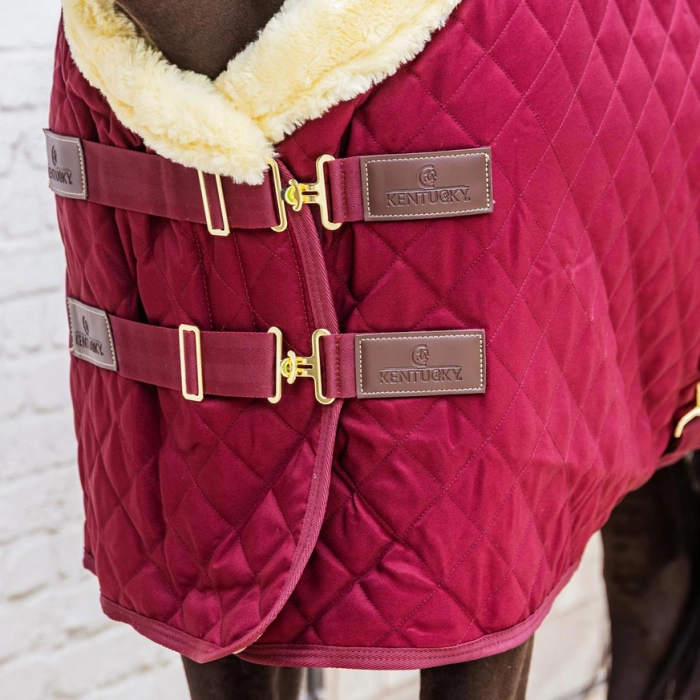 stable show rug bordeaux 160g
