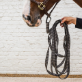 lonża 8 metrów czarna kentucky horsewear lunge line