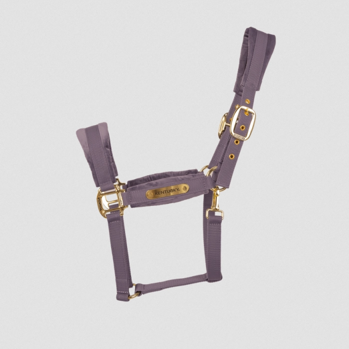 Kentucky kantar Velvet purple
