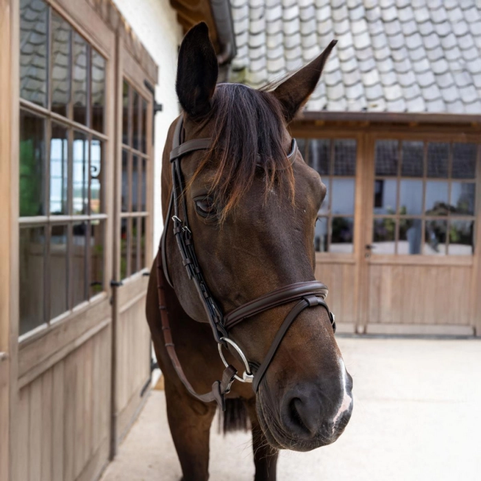 Dy'on ogłowie Flash Noseband Bridle Soft Leather brązowe