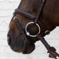 Dy'on ogłowie Flash Noseband Bridle Soft Leather brown