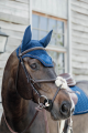 Kentucky nauszniki wyciszające Wellington Velvet Pearls granatowe
