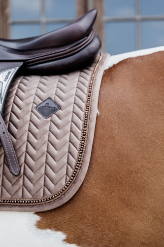 beige konik.jpg