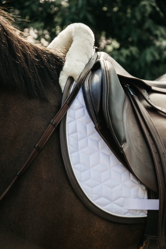 white star quilt.jpg