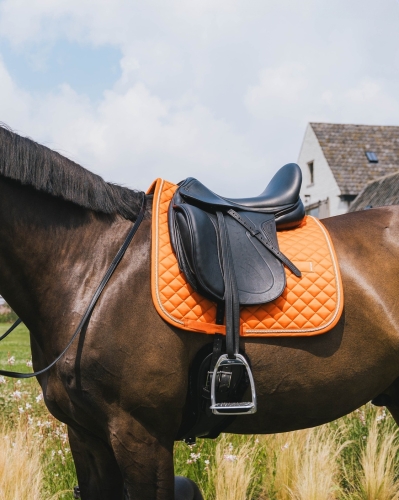 czaprak ujeżdżeniowy kentucky diamond rope