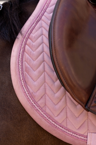 Kentucky czaprak velvet mini pearls
