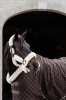 Kantar transportowy z futrem Kentucky2