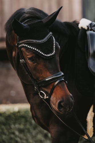 Kentucky nauszniki Wellington big stone & pearl