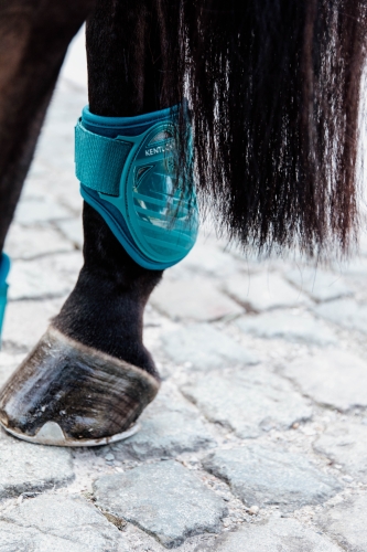 Kentucky ochraniacze Young horse fetlock