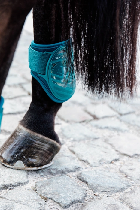 Kentucky ochraniacze Young horse fetlock