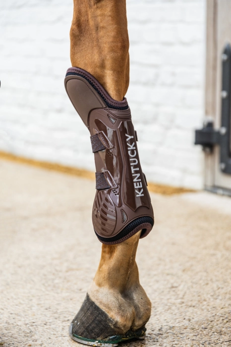 Kentucky ochraniacze Tendon Boots Elastic Knee Protection brązowe