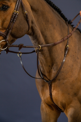 Running Martingale Dy'on D Collection
