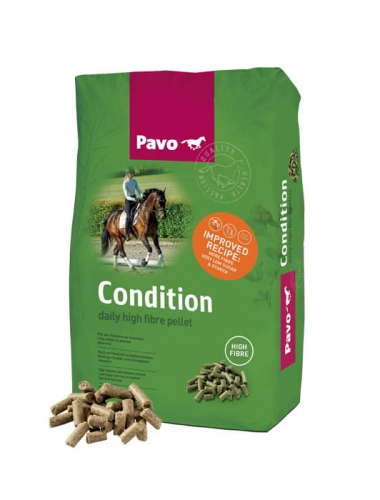 Pavo_Condition
