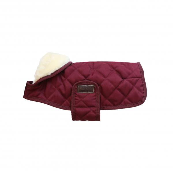 derka dla psa kentucky bordeaux
