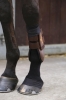 Kentucky skarpeta Tendon Grip black