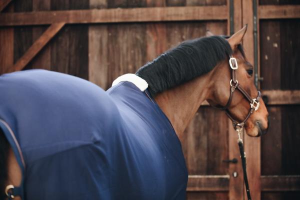 derka polarowa kentucky cooler navy