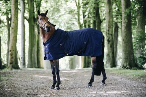 Kentucky derka bawełniana Cotton Sheet navy