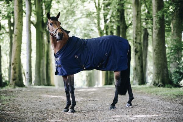 Kentucky derka bawełniana Cotton Sheet navy