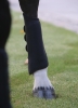 AirTechEventing6.jpg