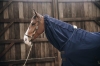 Kentucky szalik Cooler Fleece Horse Scarf  granat