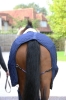 Kentucky derka 160g navy
