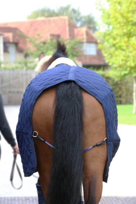 Kentucky derka 160g navy