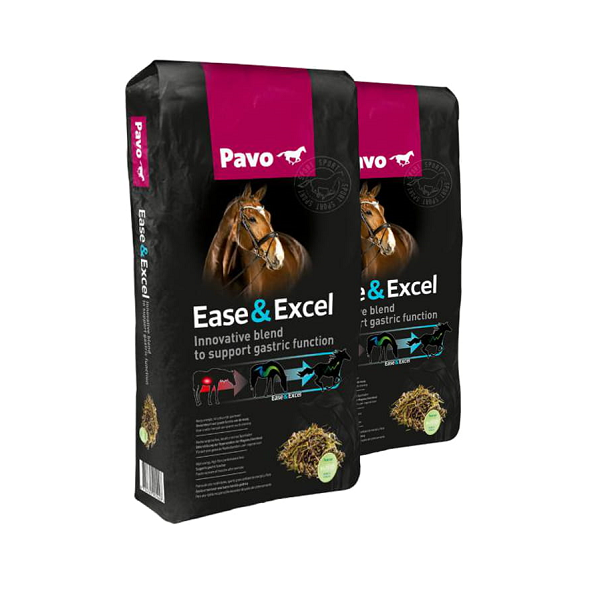 easyexcel_dwupak.png