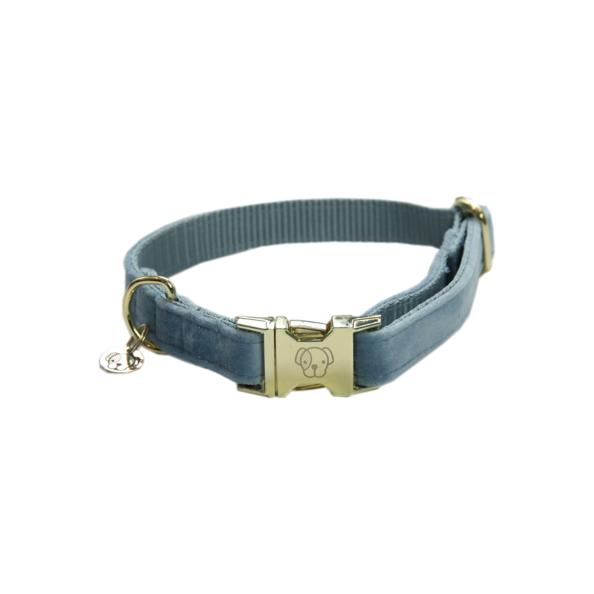 Kentucky obroża Collar Velvet__błękitny.png