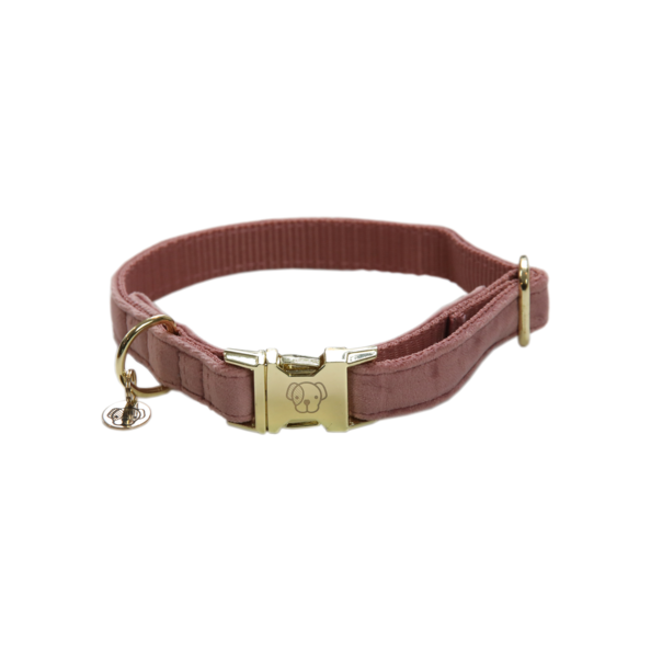 Kentucky obroża Collar Velvet_blady róż.png