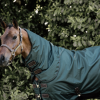Kentucky derka wodoodporna 160g dark green