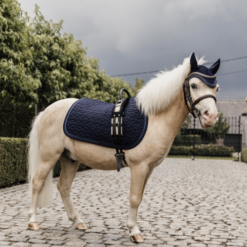 Kentucky czaprak GlitterRope skokowy pony granat