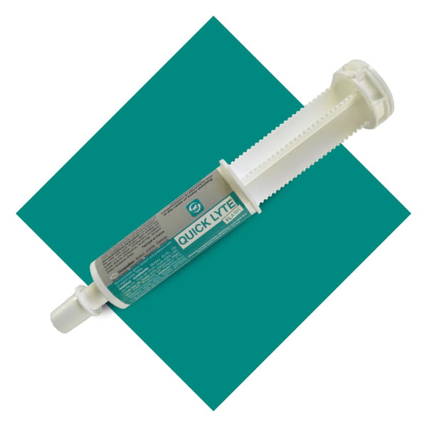 LPC Quick Lyte Flash elektrolity 60g