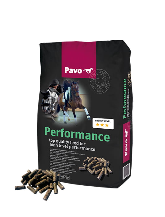 Pavo Performance.jpg