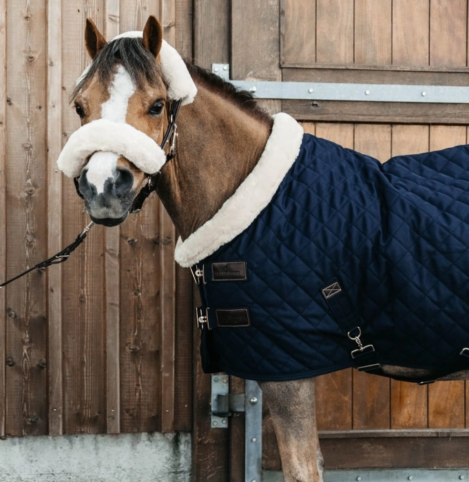 Kentucky derka dla kuca Show Rug navy
